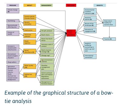 Example of a bow-tie analysis