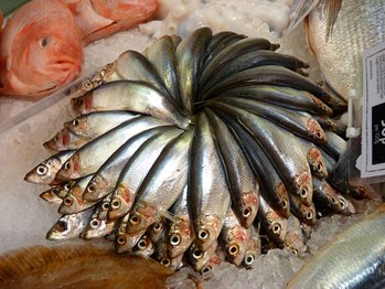 Caught sprat fish arranged in a circle at a fish market