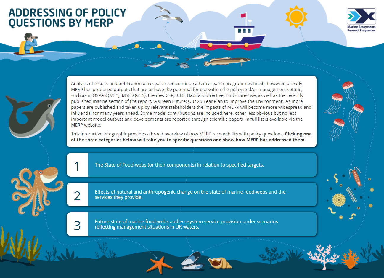 Screenshot of the policy questions interactive