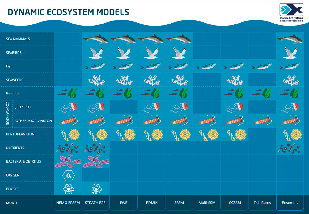 Interactive Model Guide