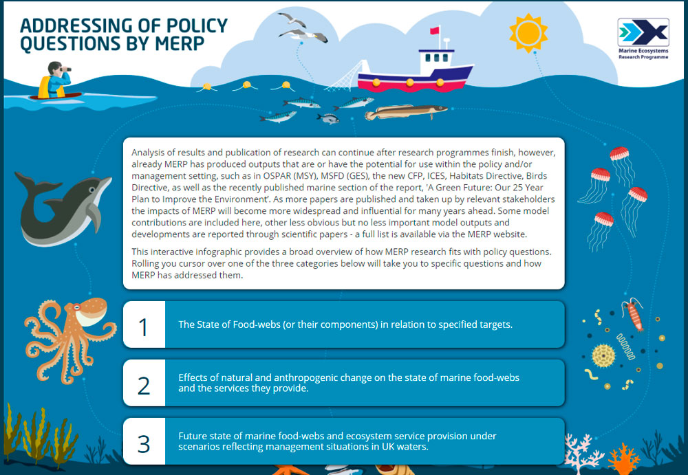 Policy question interactive