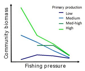 Fishing pressure had a negative relationship with community biomass, a trend which strengthened with increasing primary production