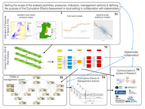 Overview of the implementation of the Cumulative Effects Assessment framework to deliver the project objectives across five tasks